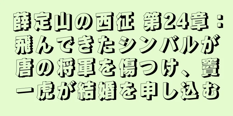 薛定山の西征 第24章：飛んできたシンバルが唐の将軍を傷つけ、竇一虎が結婚を申し込む