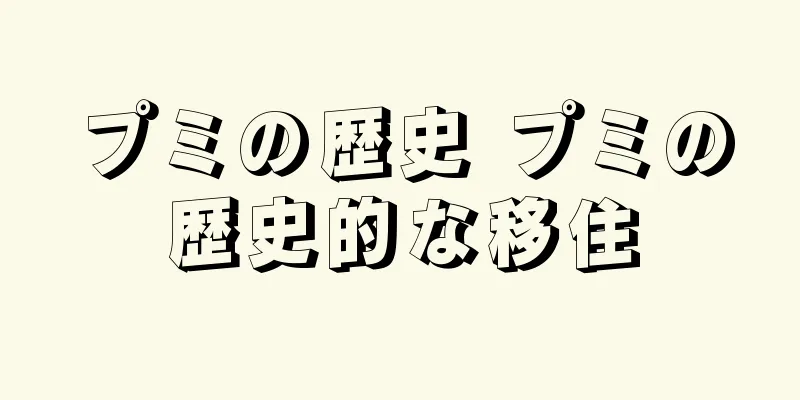 プミの歴史 プミの歴史的な移住
