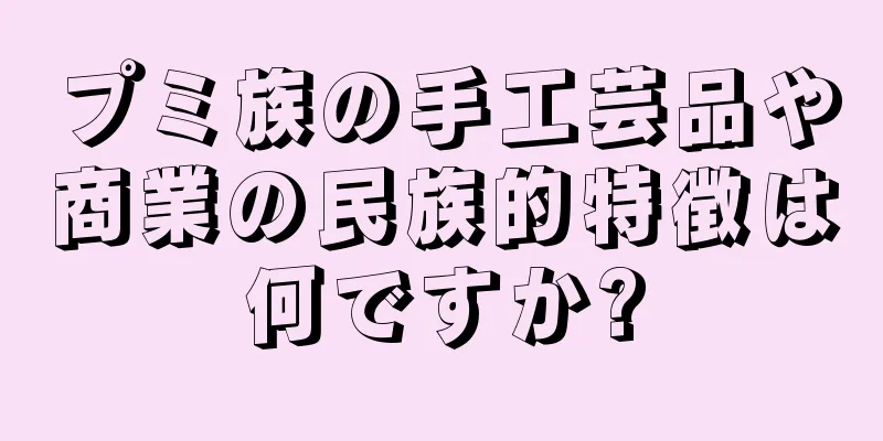 プミ族の手工芸品や商業の民族的特徴は何ですか?