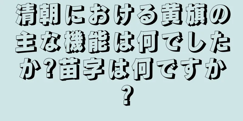 清朝における黄旗の主な機能は何でしたか?苗字は何ですか？