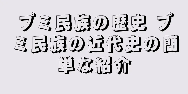 プミ民族の歴史 プミ民族の近代史の簡単な紹介