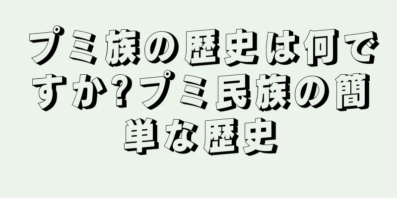プミ族の歴史は何ですか?プミ民族の簡単な歴史