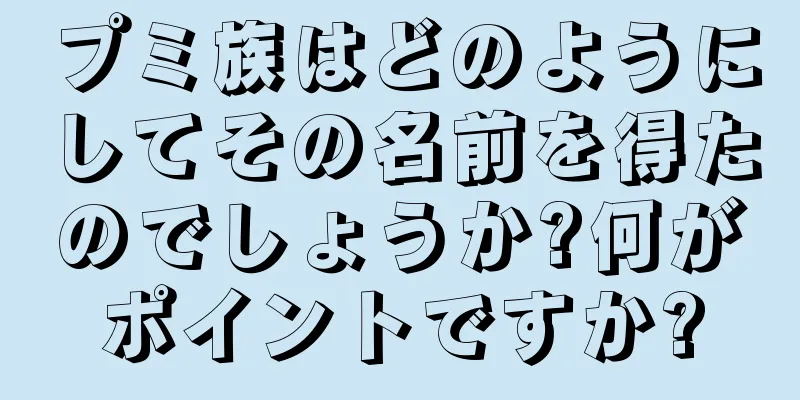 プミ族はどのようにしてその名前を得たのでしょうか?何がポイントですか?
