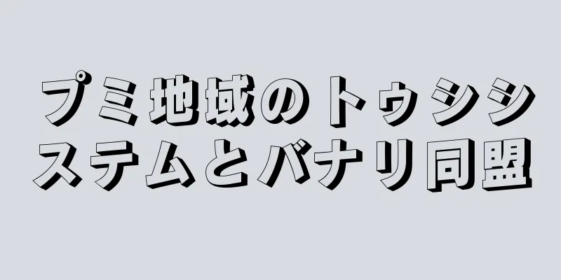 プミ地域のトゥシシステムとバナリ同盟