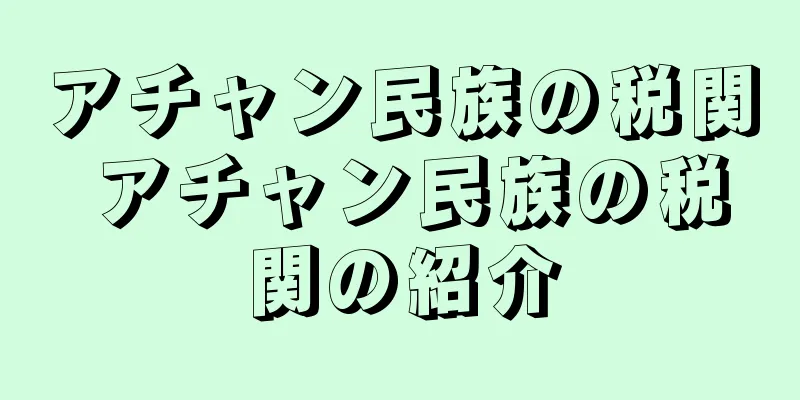 アチャン民族の税関 アチャン民族の税関の紹介