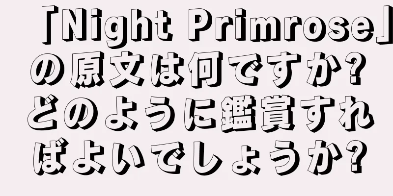 「Night Primrose」の原文は何ですか?どのように鑑賞すればよいでしょうか?