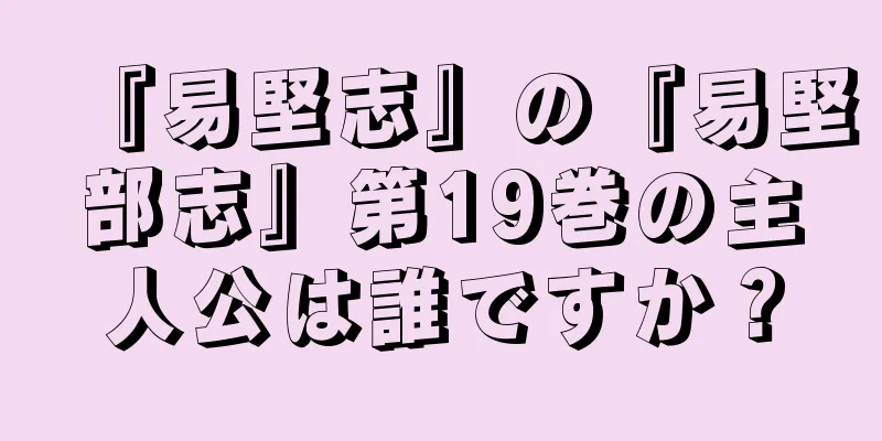 『易堅志』の『易堅部志』第19巻の主人公は誰ですか？