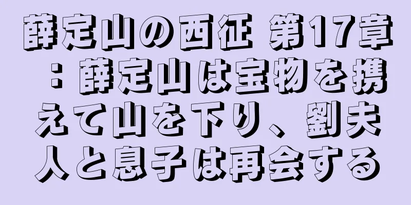 薛定山の西征 第17章：薛定山は宝物を携えて山を下り、劉夫人と息子は再会する