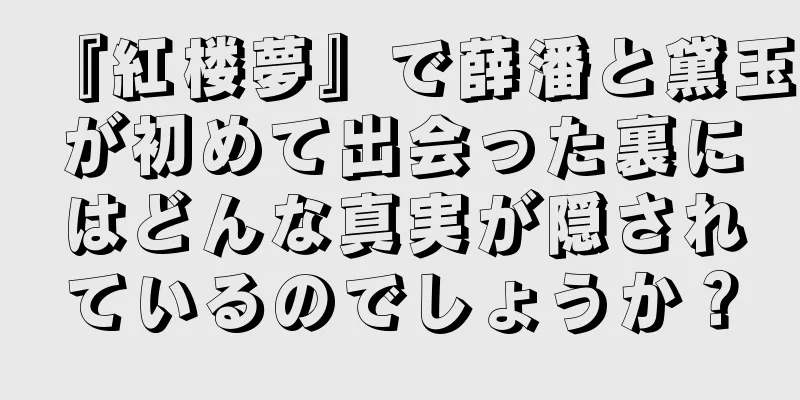 『紅楼夢』で薛潘と黛玉が初めて出会った裏にはどんな真実が隠されているのでしょうか？