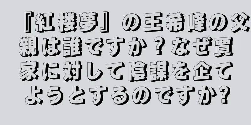 『紅楼夢』の王希峰の父親は誰ですか？なぜ賈家に対して陰謀を企てようとするのですか?