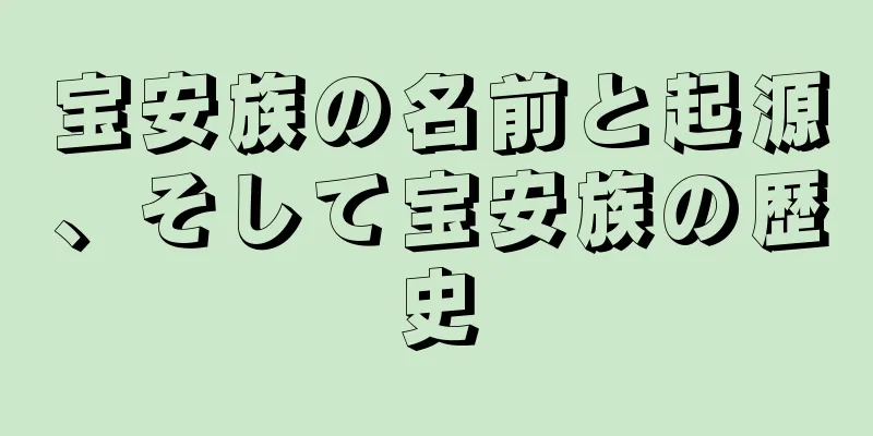 宝安族の名前と起源、そして宝安族の歴史