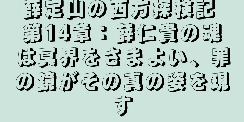 薛定山の西方探検記 第14章：薛仁貴の魂は冥界をさまよい、罪の鏡がその真の姿を現す
