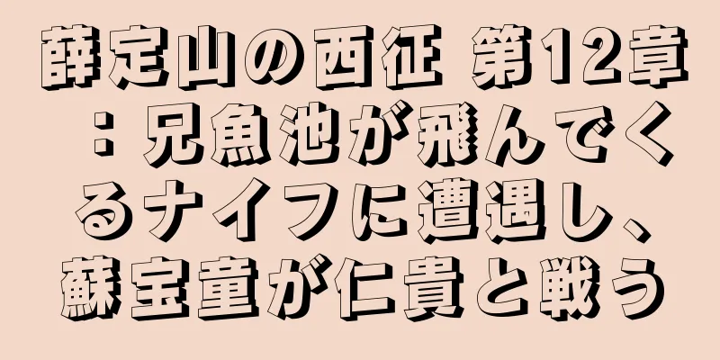 薛定山の西征 第12章：兄魚池が飛んでくるナイフに遭遇し、蘇宝童が仁貴と戦う