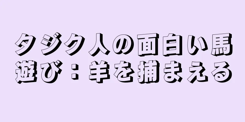 タジク人の面白い馬遊び：羊を捕まえる