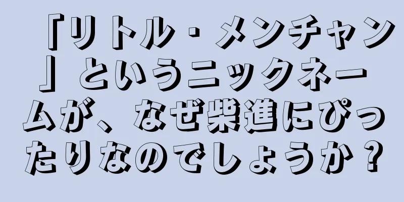 「リトル・メンチャン」というニックネームが、なぜ柴進にぴったりなのでしょうか？