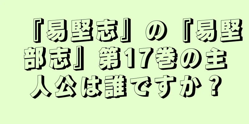 『易堅志』の『易堅部志』第17巻の主人公は誰ですか？