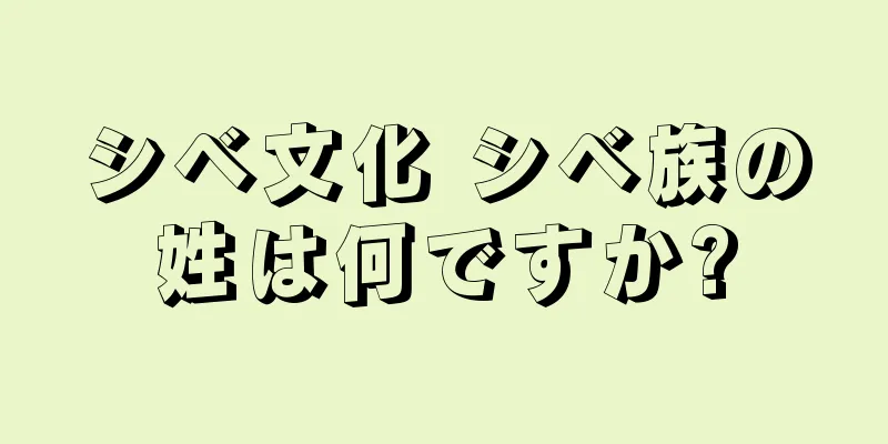 シベ文化 シベ族の姓は何ですか?