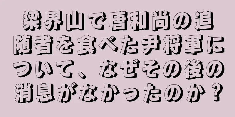 梁界山で唐和尚の追随者を食べた尹将軍について、なぜその後の消息がなかったのか？