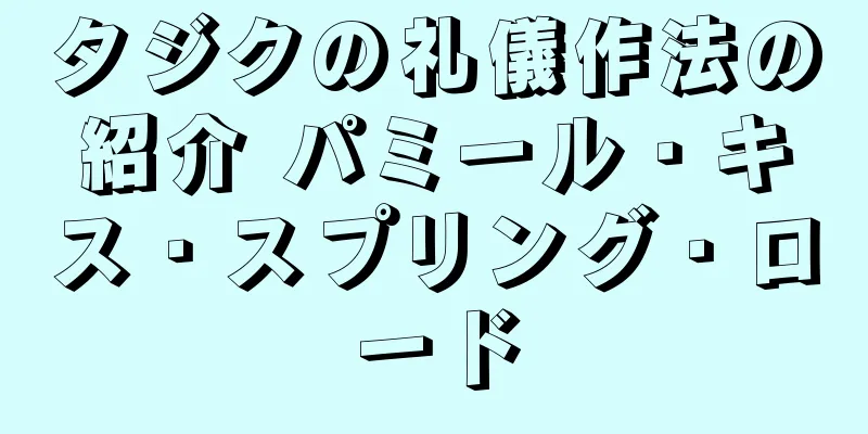 タジクの礼儀作法の紹介 パミール・キス・スプリング・ロード