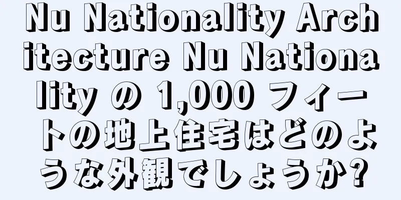 Nu Nationality Architecture Nu Nationality の 1,000 フィートの地上住宅はどのような外観でしょうか?