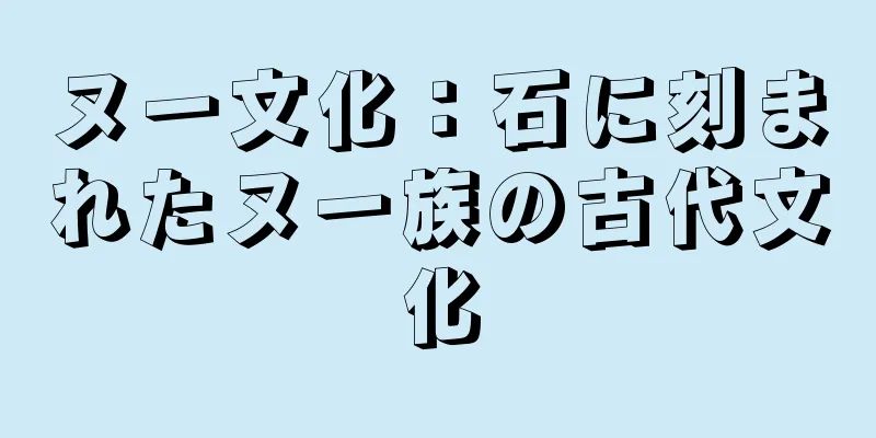 ヌー文化：石に刻まれたヌー族の古代文化
