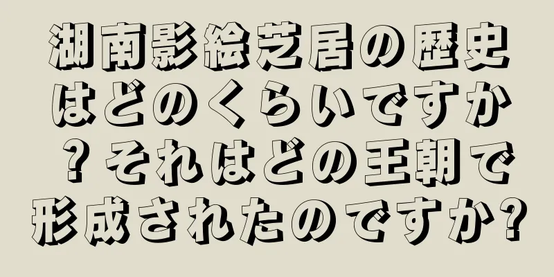 湖南影絵芝居の歴史はどのくらいですか？それはどの王朝で形成されたのですか?