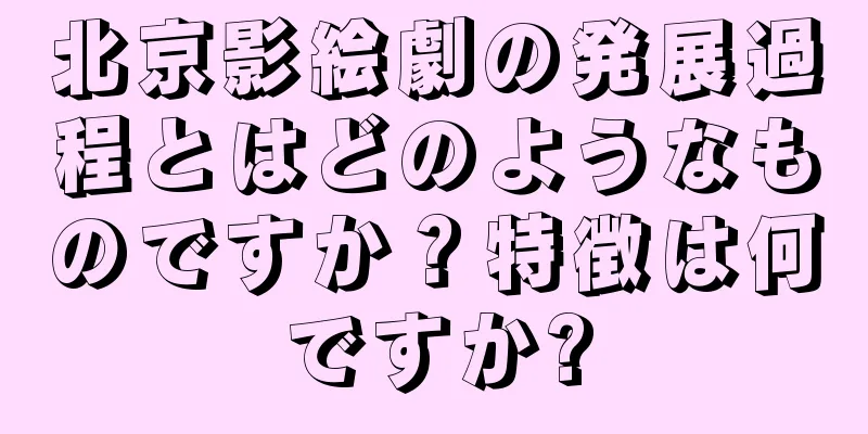 北京影絵劇の発展過程とはどのようなものですか？特徴は何ですか?