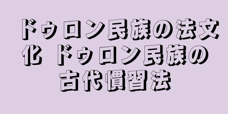 ドゥロン民族の法文化 ドゥロン民族の古代慣習法