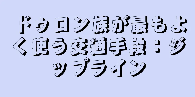 ドゥロン族が最もよく使う交通手段：ジップライン