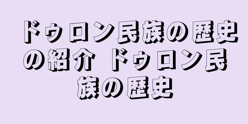 ドゥロン民族の歴史の紹介 ドゥロン民族の歴史