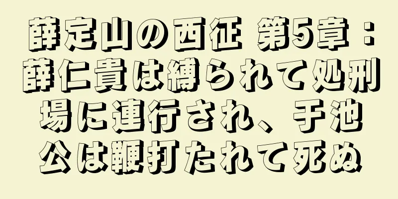 薛定山の西征 第5章：薛仁貴は縛られて処刑場に連行され、于池公は鞭打たれて死ぬ