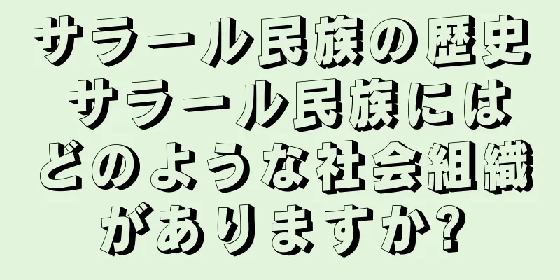 サラール民族の歴史 サラール民族にはどのような社会組織がありますか?