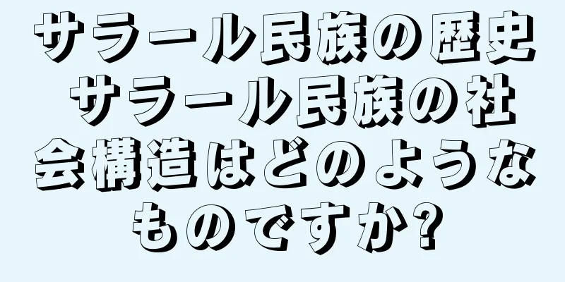サラール民族の歴史 サラール民族の社会構造はどのようなものですか?