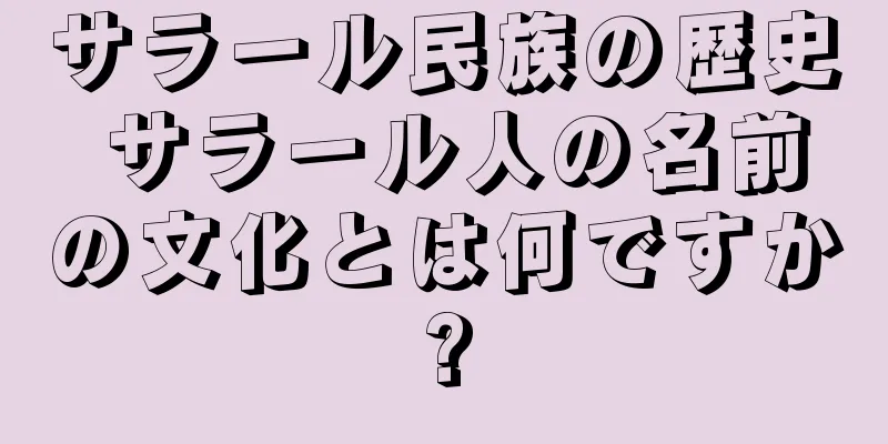 サラール民族の歴史 サラール人の名前の文化とは何ですか?