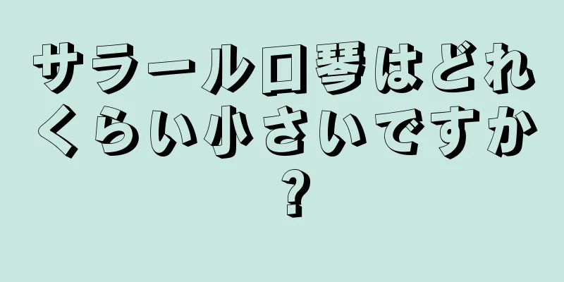 サラール口琴はどれくらい小さいですか？