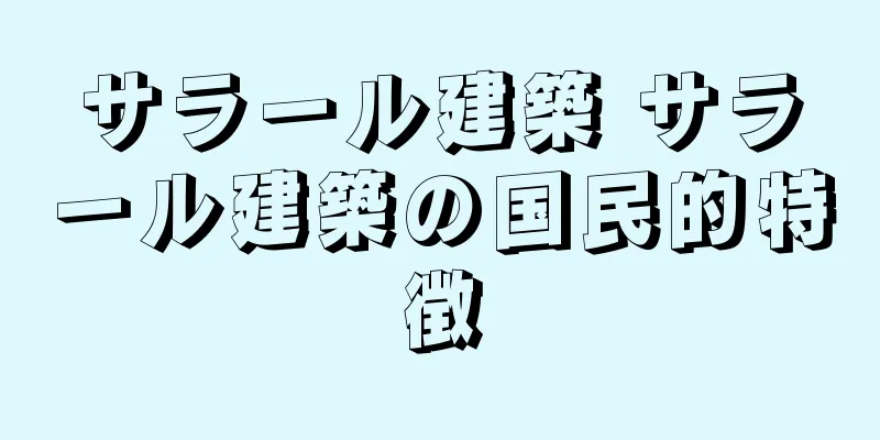 サラール建築 サラール建築の国民的特徴