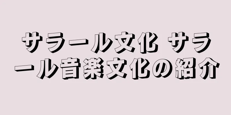 サラール文化 サラール音楽文化の紹介