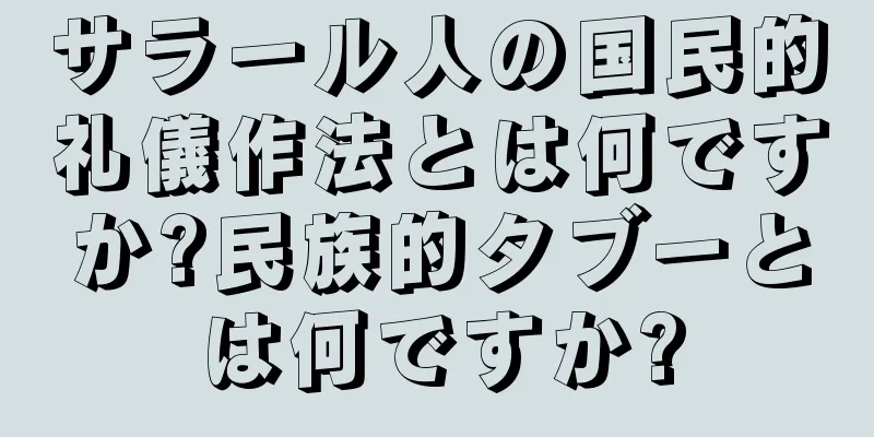 サラール人の国民的礼儀作法とは何ですか?民族的タブーとは何ですか?
