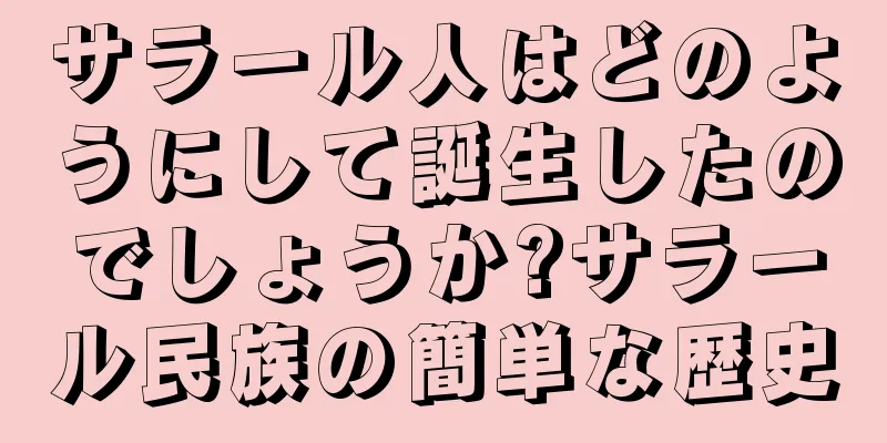 サラール人はどのようにして誕生したのでしょうか?サラール民族の簡単な歴史