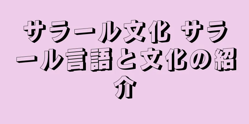 サラール文化 サラール言語と文化の紹介