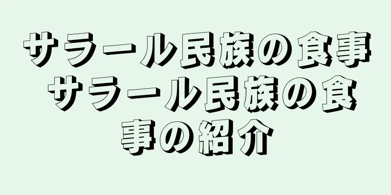 サラール民族の食事 サラール民族の食事の紹介
