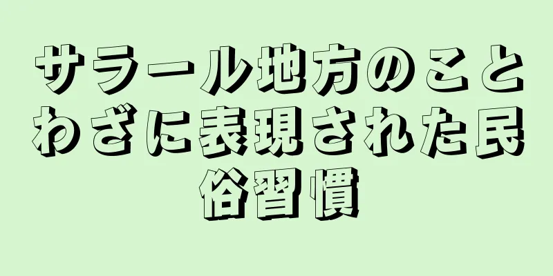 サラール地方のことわざに表現された民俗習慣