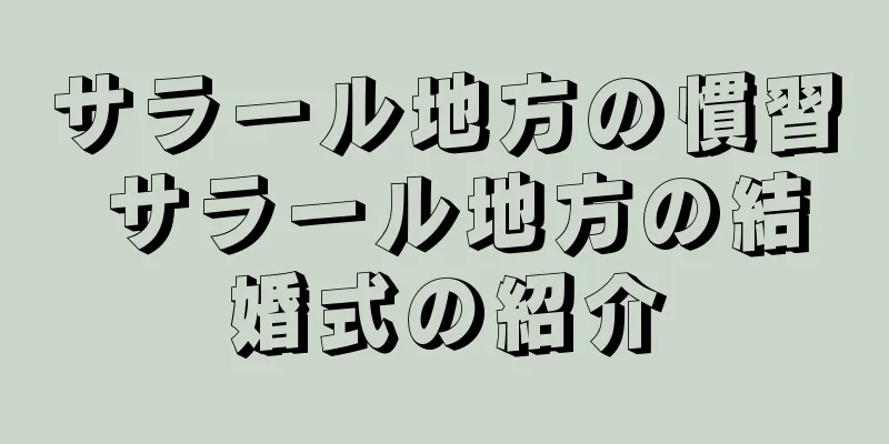 サラール地方の慣習 サラール地方の結婚式の紹介