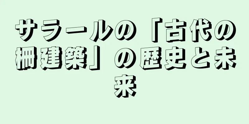 サラールの「古代の柵建築」の歴史と未来