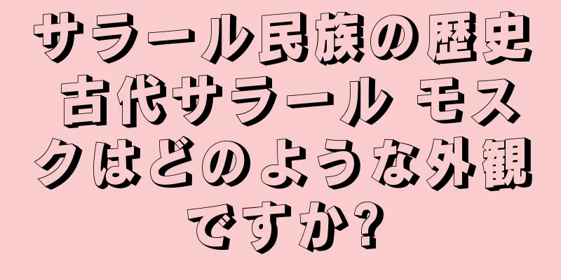 サラール民族の歴史 古代サラール モスクはどのような外観ですか?