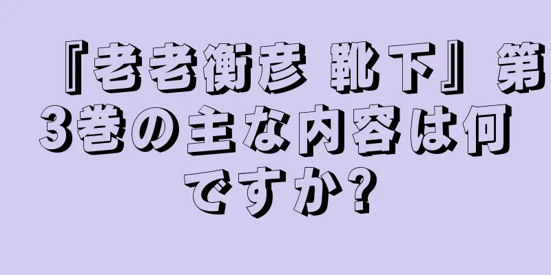 『老老衡彦 靴下』第3巻の主な内容は何ですか?