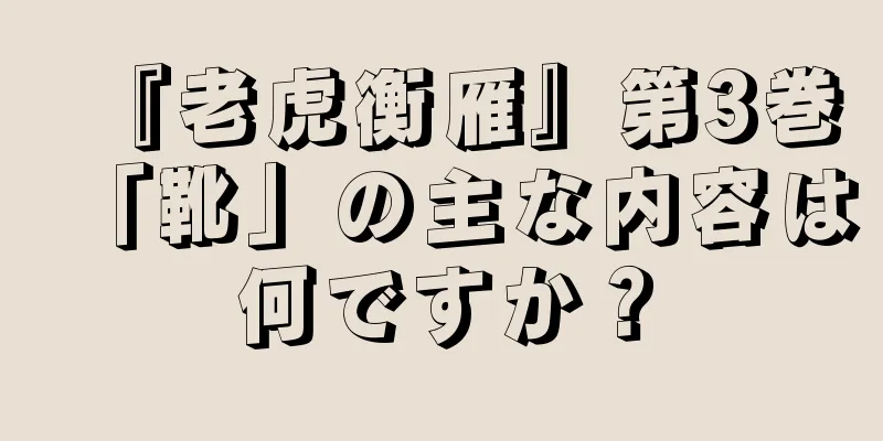 『老虎衡雁』第3巻「靴」の主な内容は何ですか？