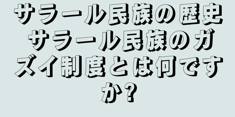 サラール民族の歴史 サラール民族のガズイ制度とは何ですか?