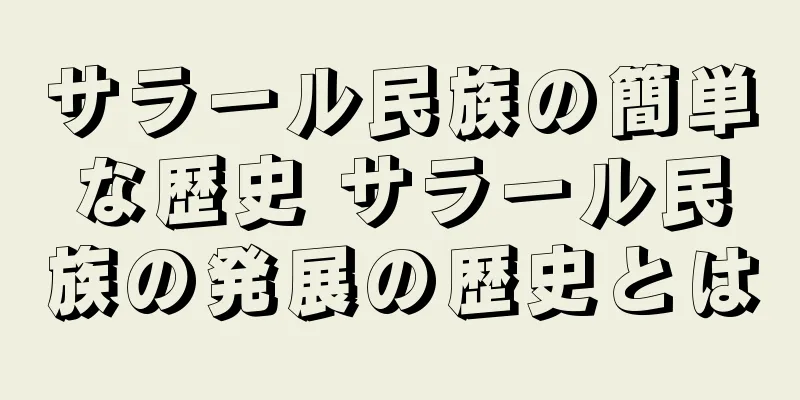 サラール民族の簡単な歴史 サラール民族の発展の歴史とは