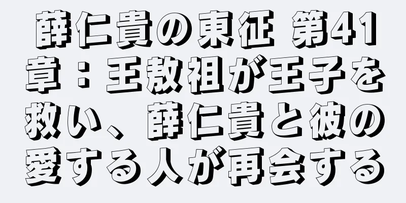 薛仁貴の東征 第41章：王敖祖が王子を救い、薛仁貴と彼の愛する人が再会する